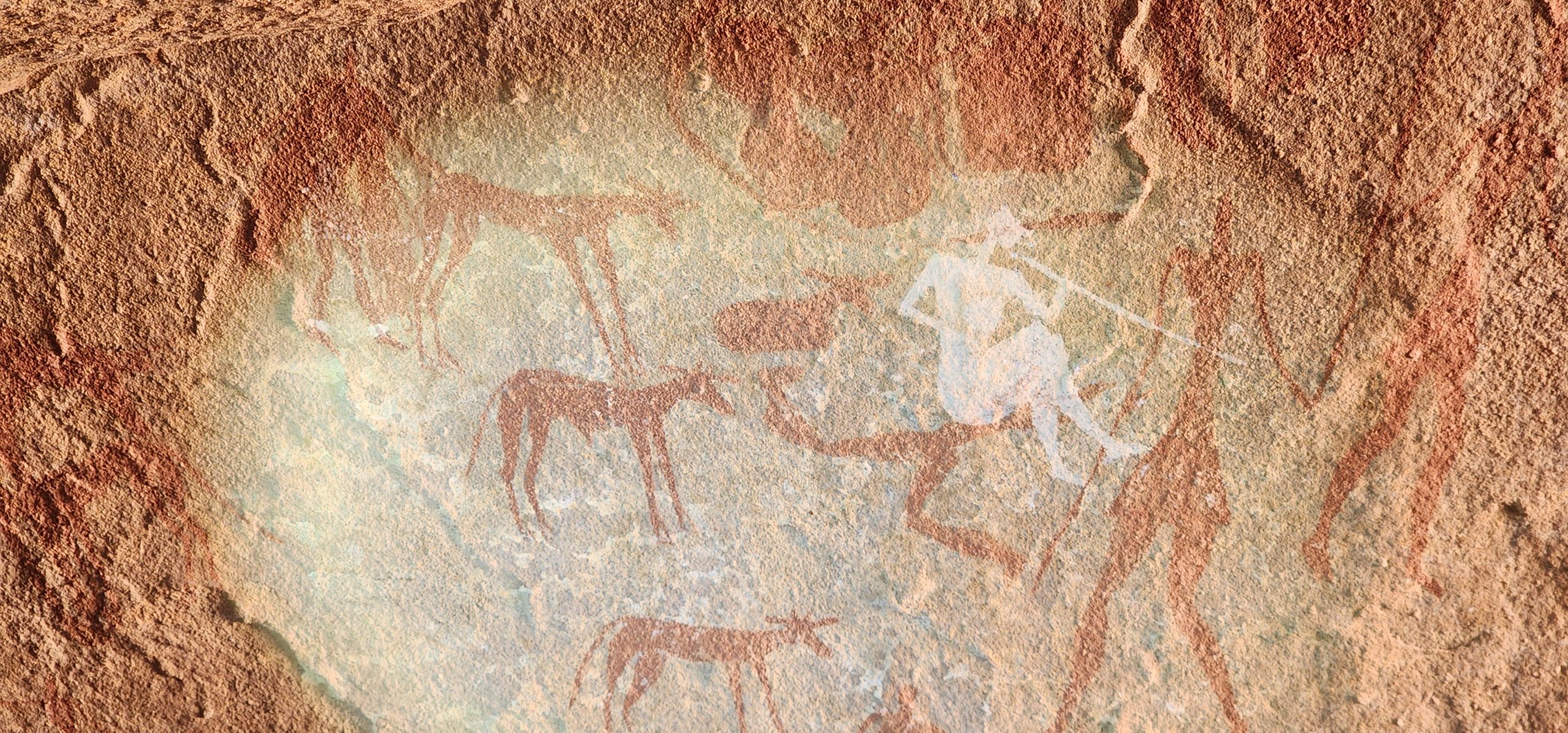 Le Tassili 