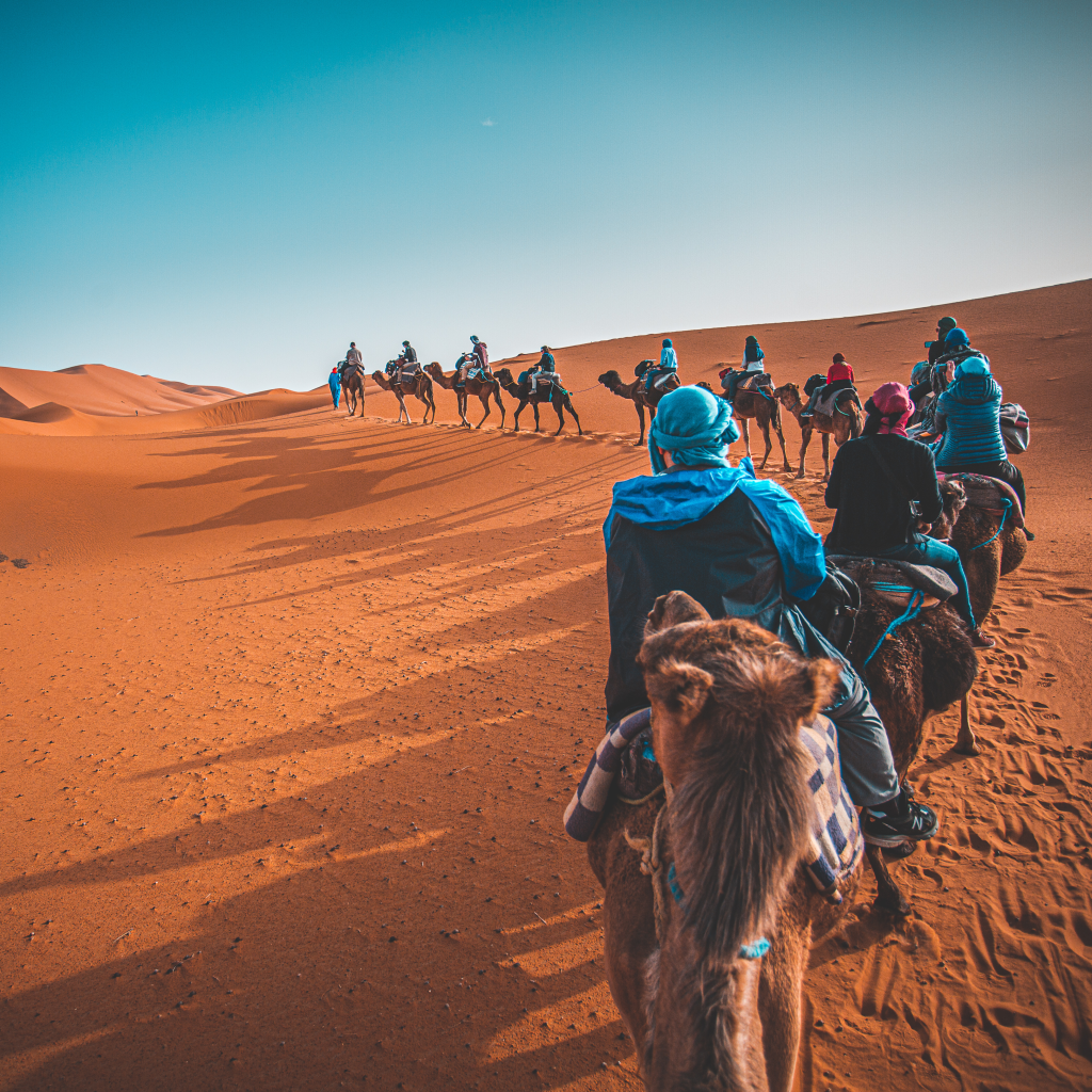 Désert algérien - Randonnée chamelière - Méharée à Djanet