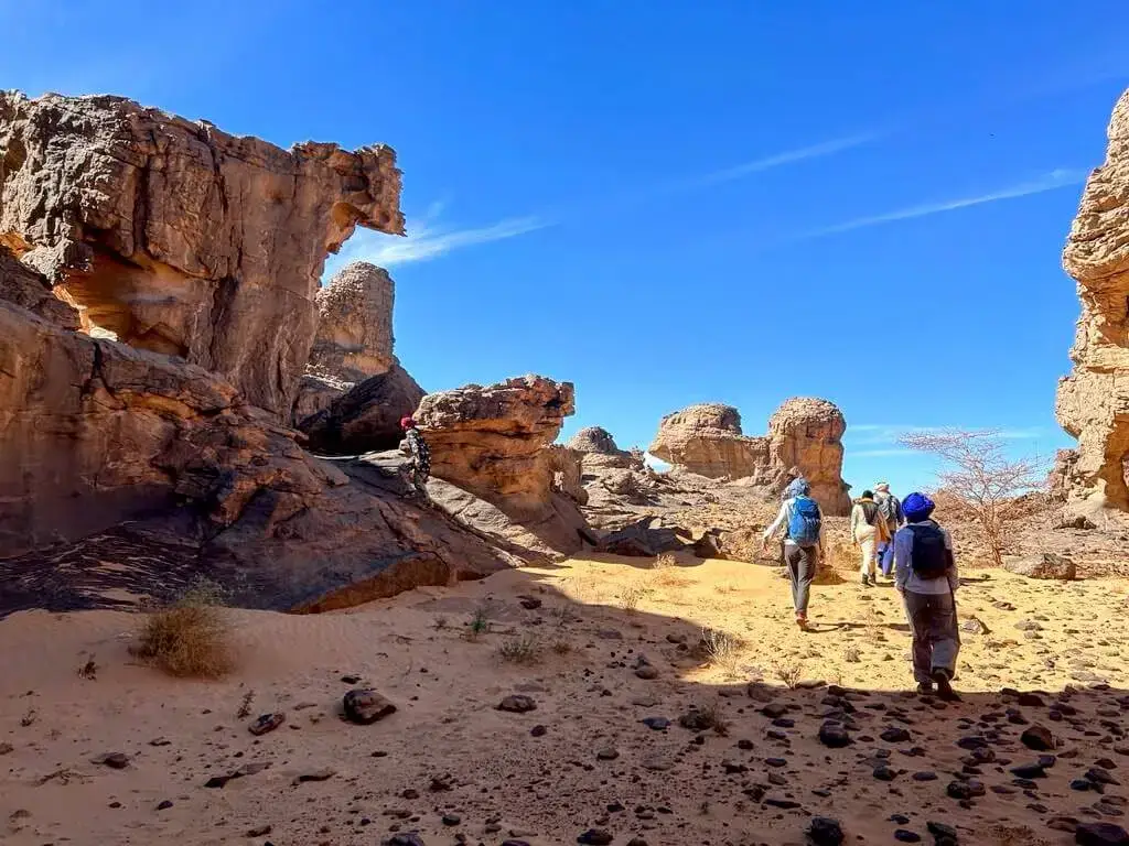 LE BERCEAU DE L'HUMANITÉ SE TROUVE À SEFAR, EN ALGÉRIE